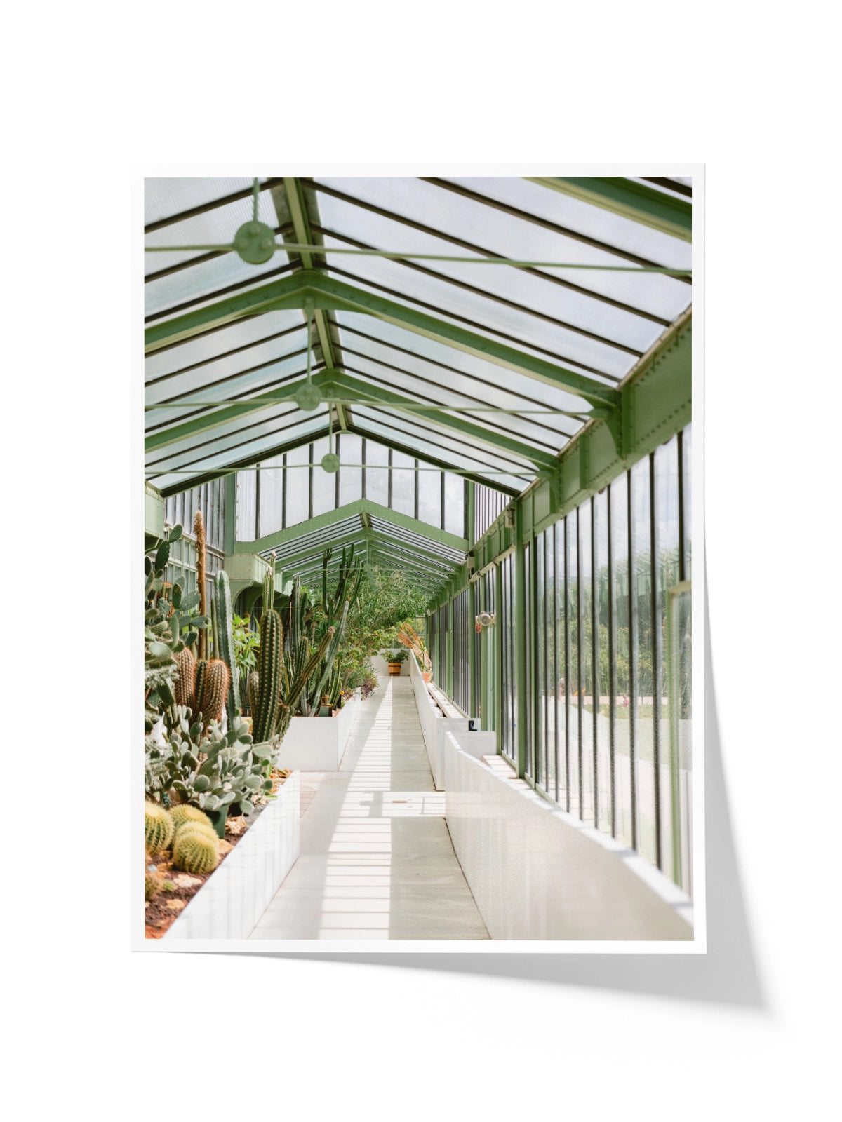 Botanical Garden of Paris I