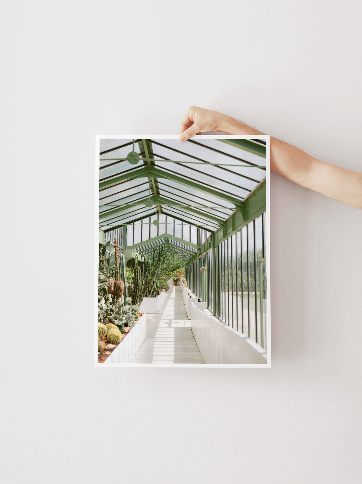 Botanical Garden of Paris I