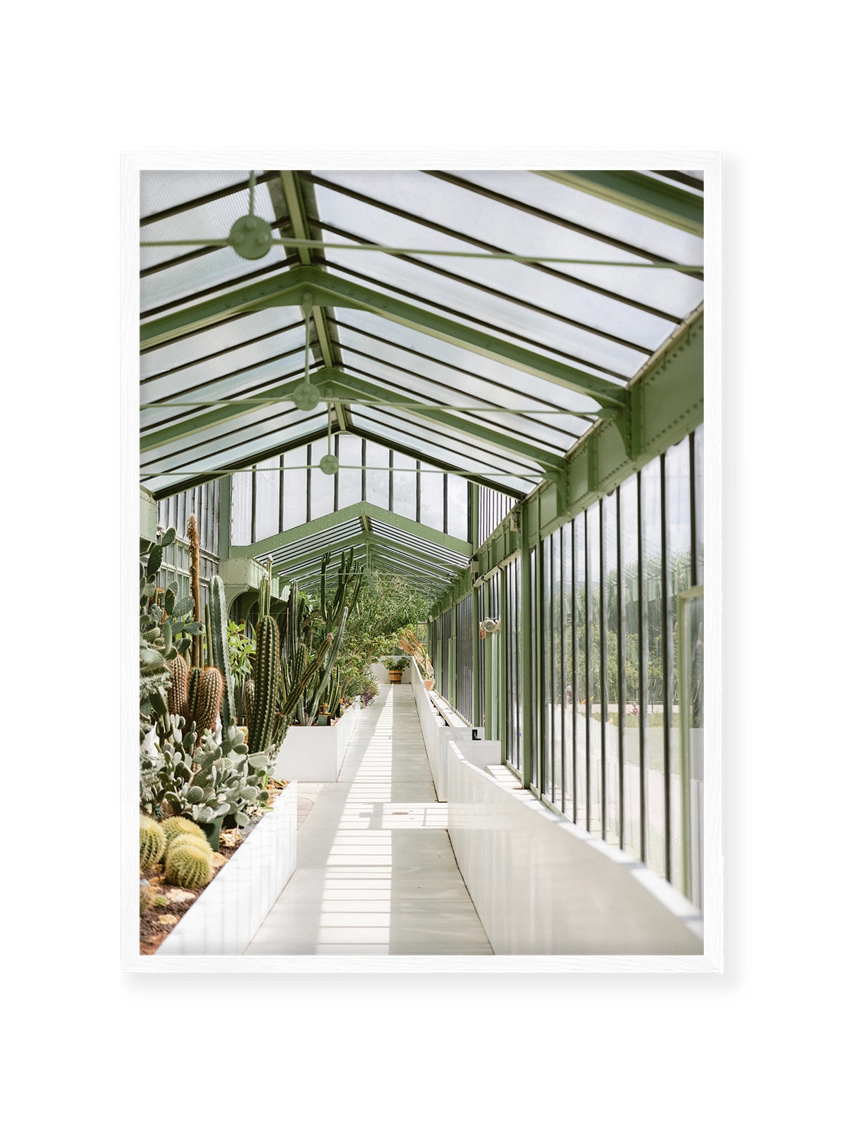 Botanical Garden of Paris I