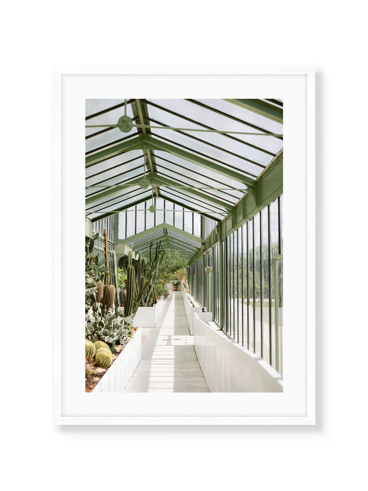 Botanical Garden of Paris I