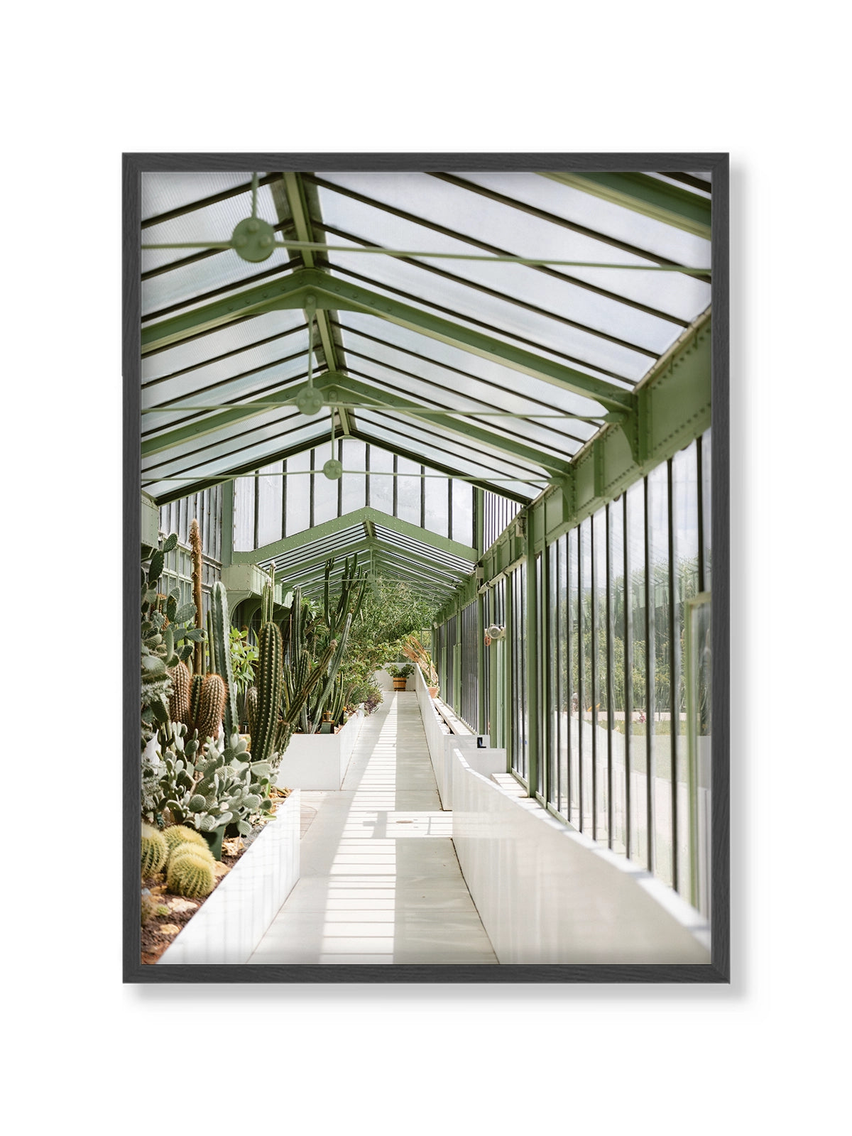 Botanical Garden of Paris I