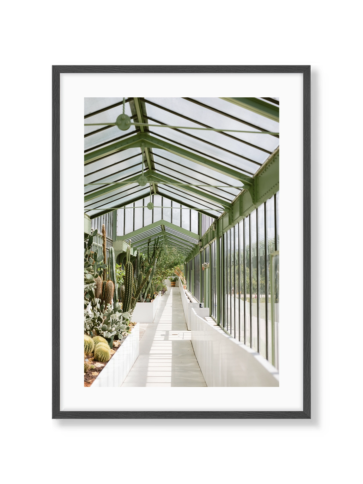 Botanical Garden of Paris I