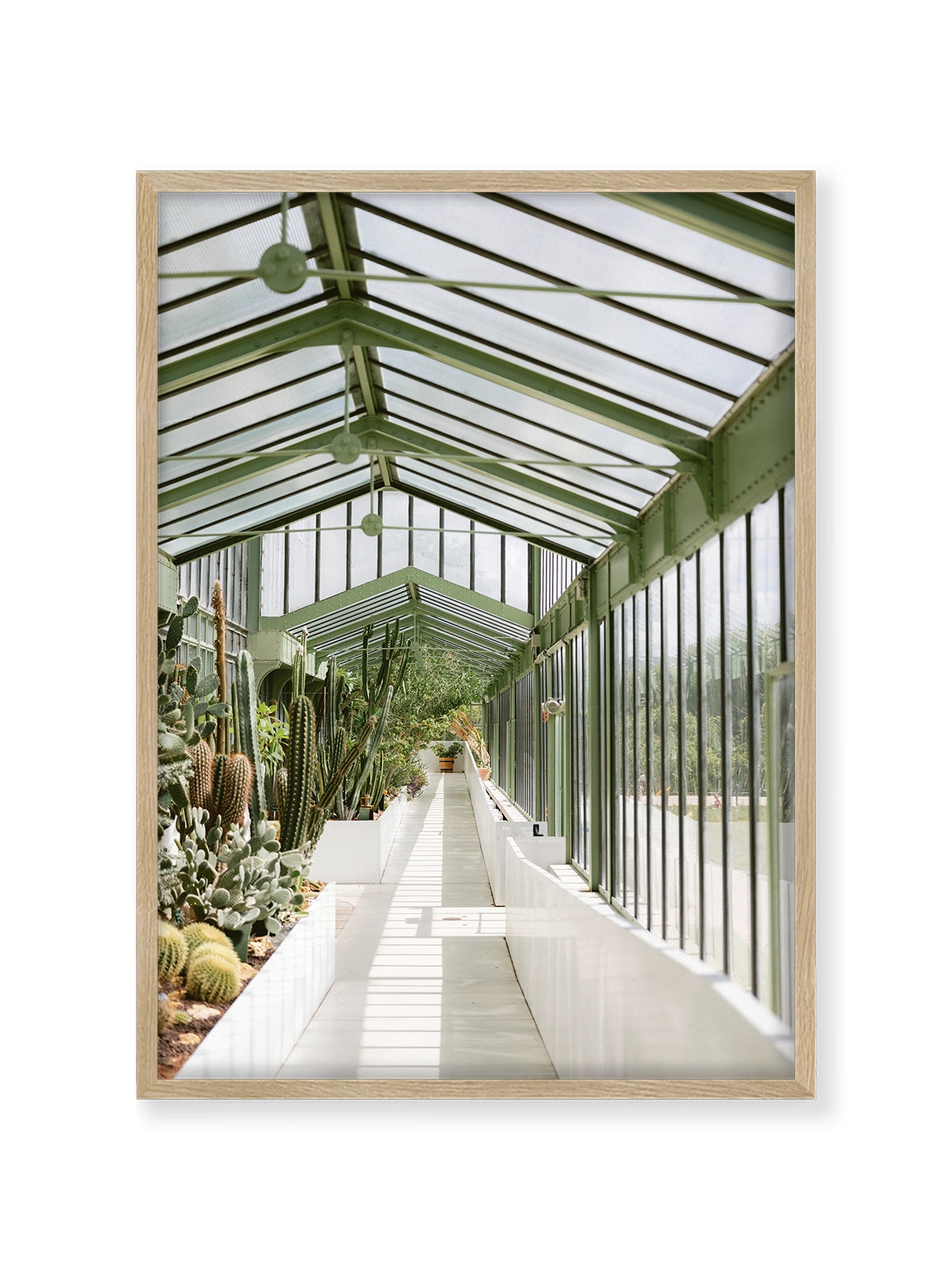 Botanical Garden of Paris I