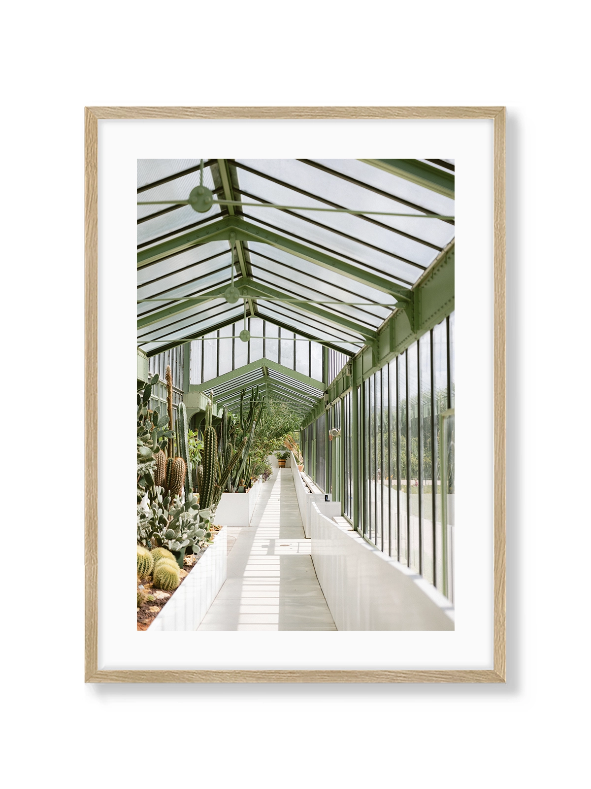 Botanical Garden of Paris I