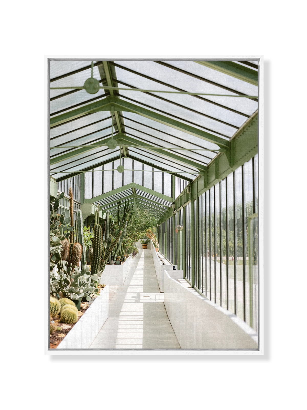 Botanical Garden of Paris I