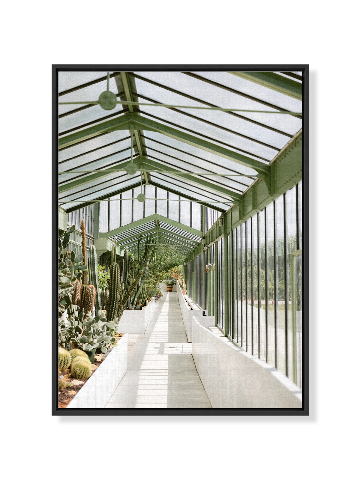 Botanical Garden of Paris I