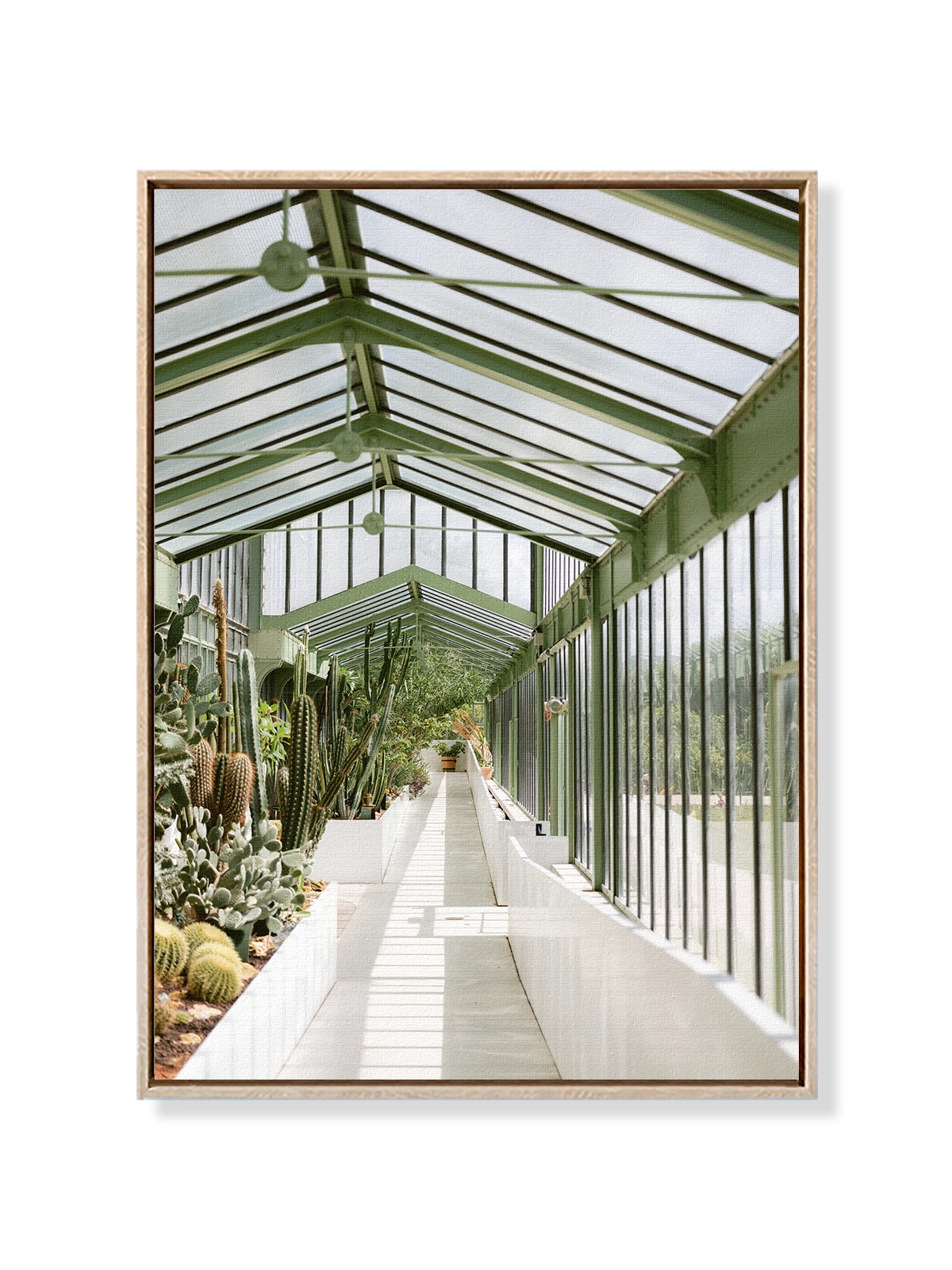 Botanical Garden of Paris I