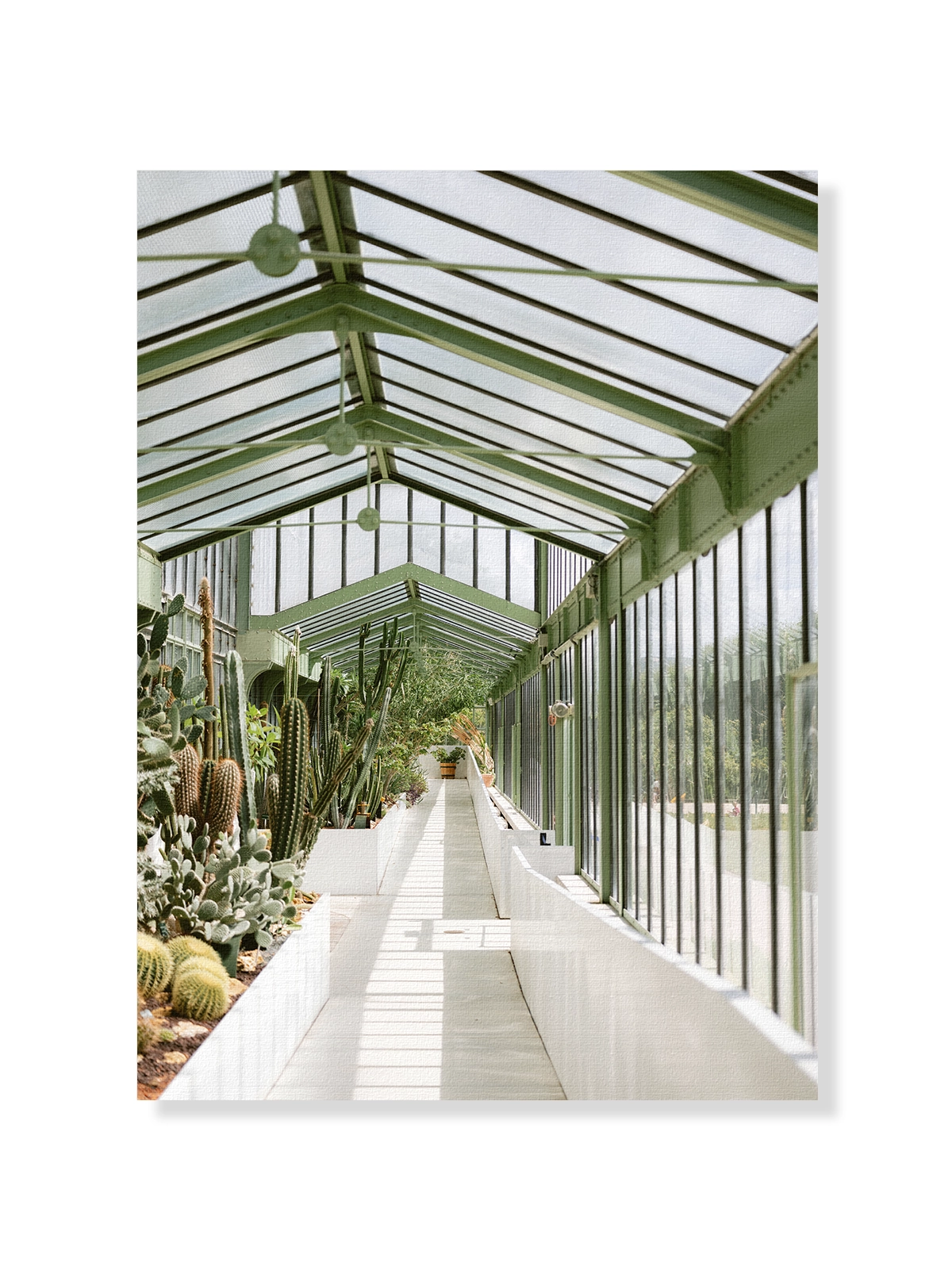 Botanical Garden of Paris I