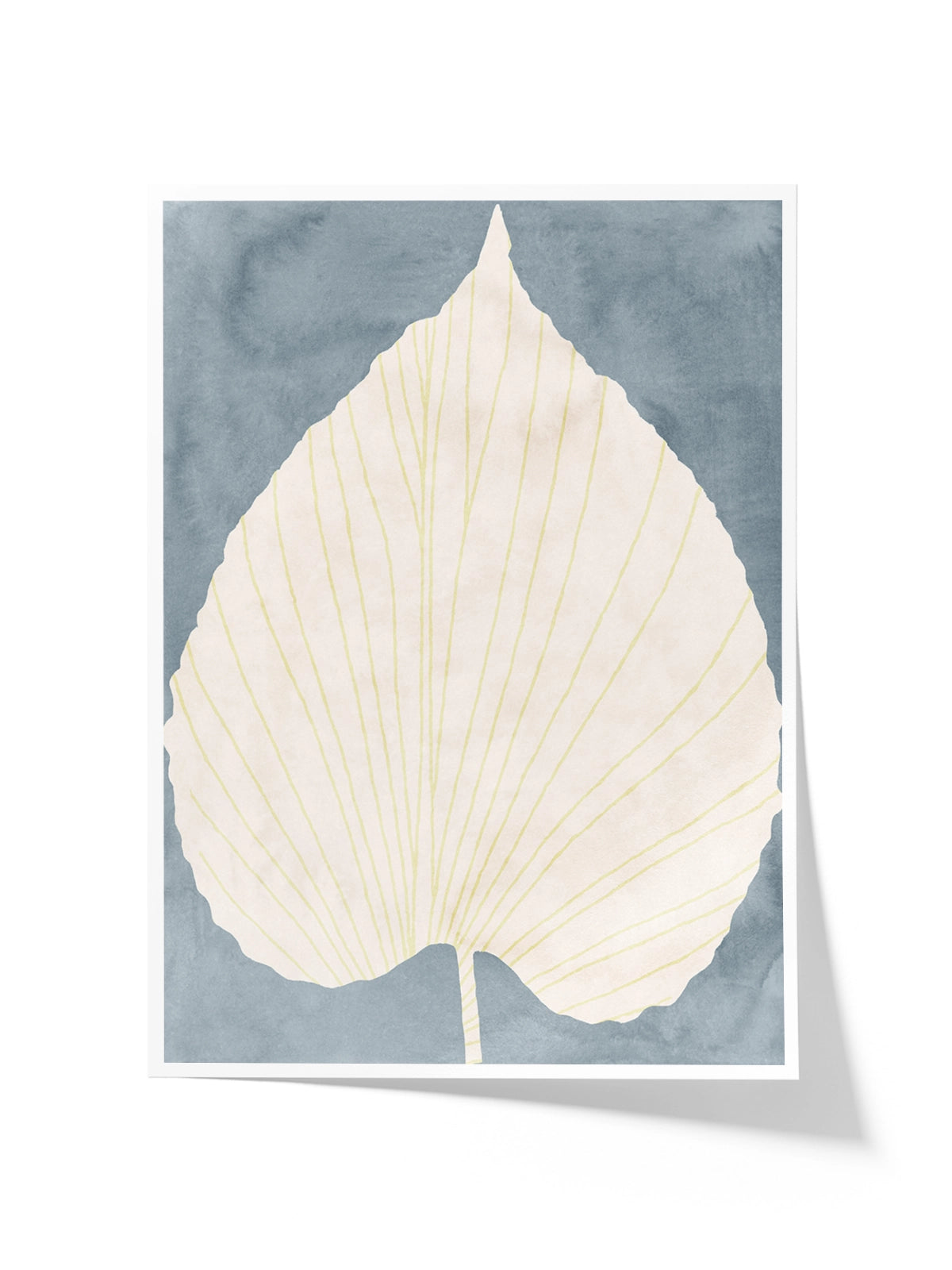 Botanical artwork II