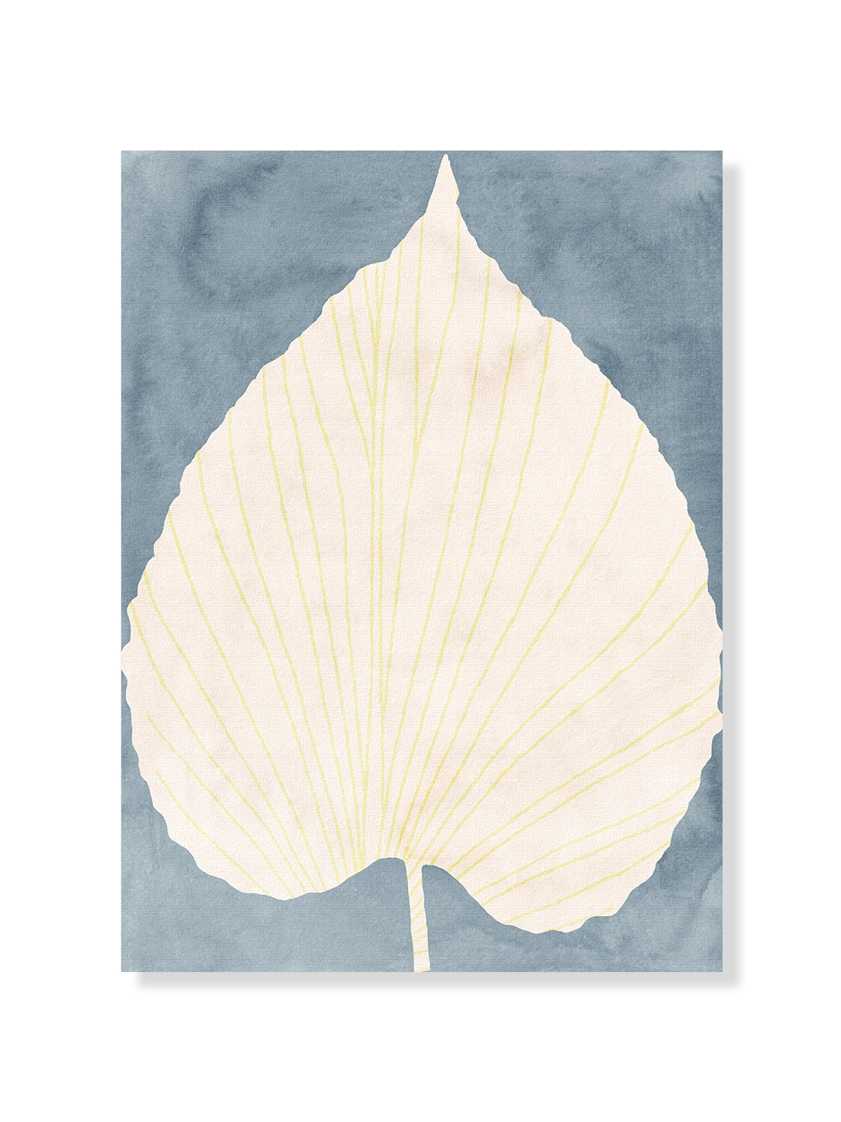 Botanical artwork II