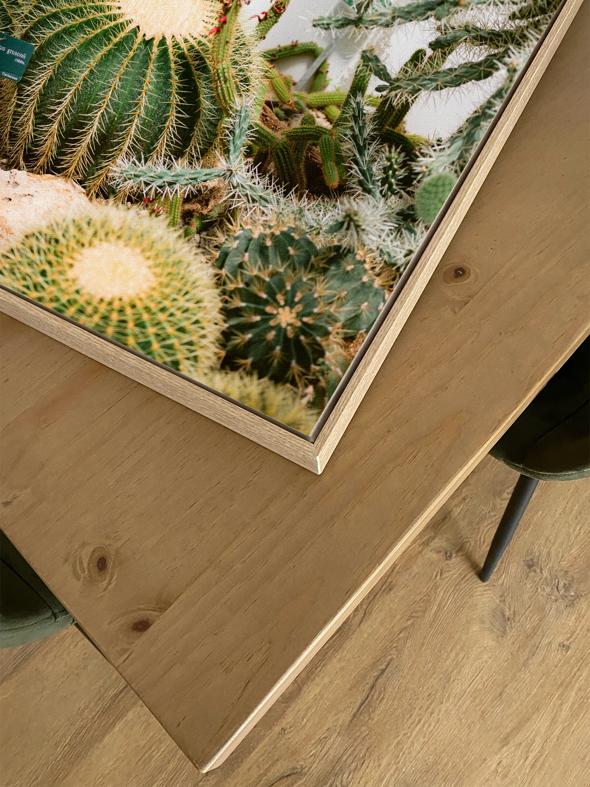 Botanical Garden of Paris II