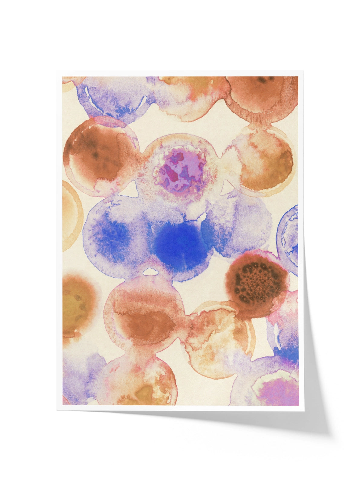 Colorful Acrylic Circles I