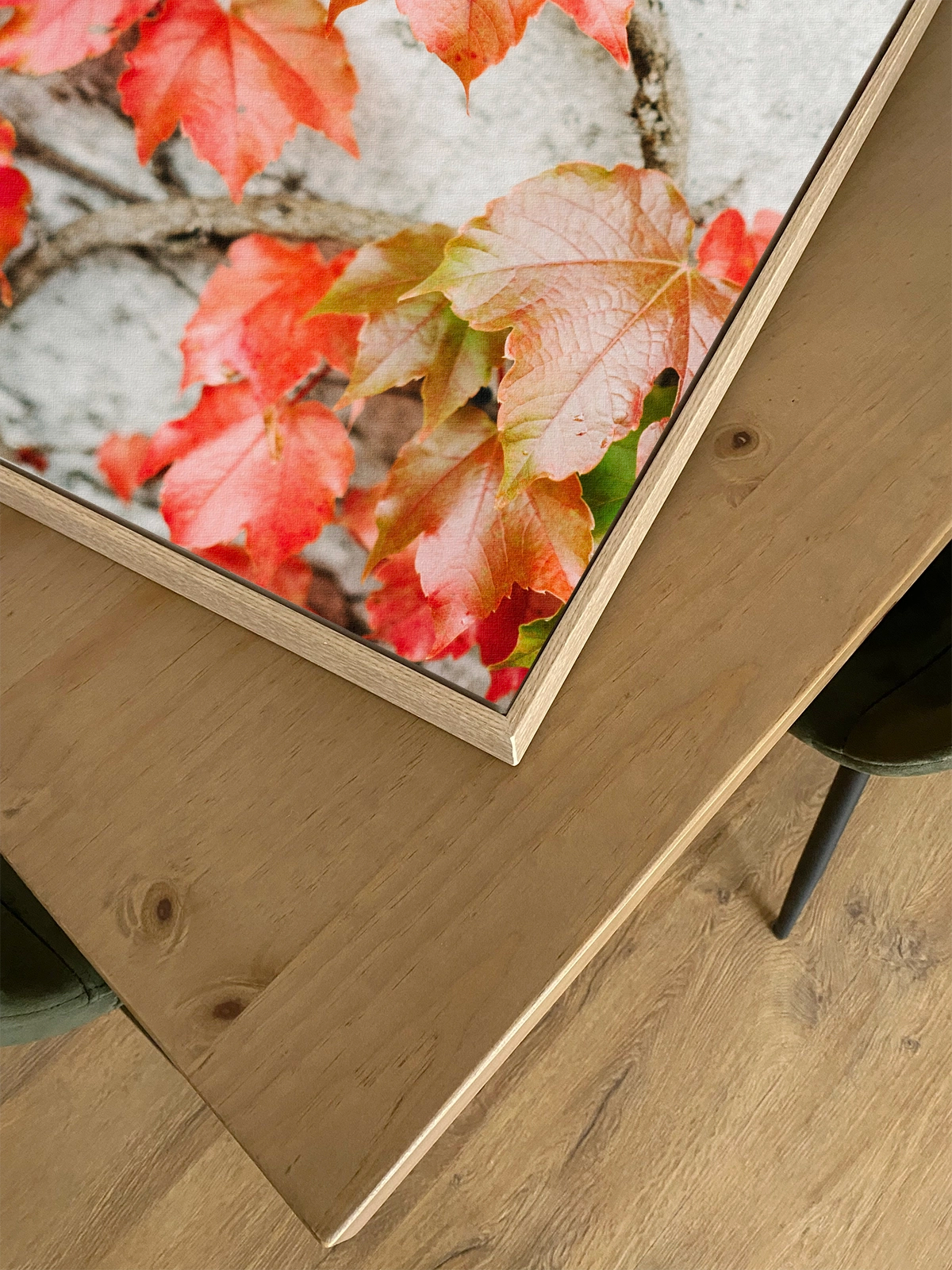 Fall Colored Leaves