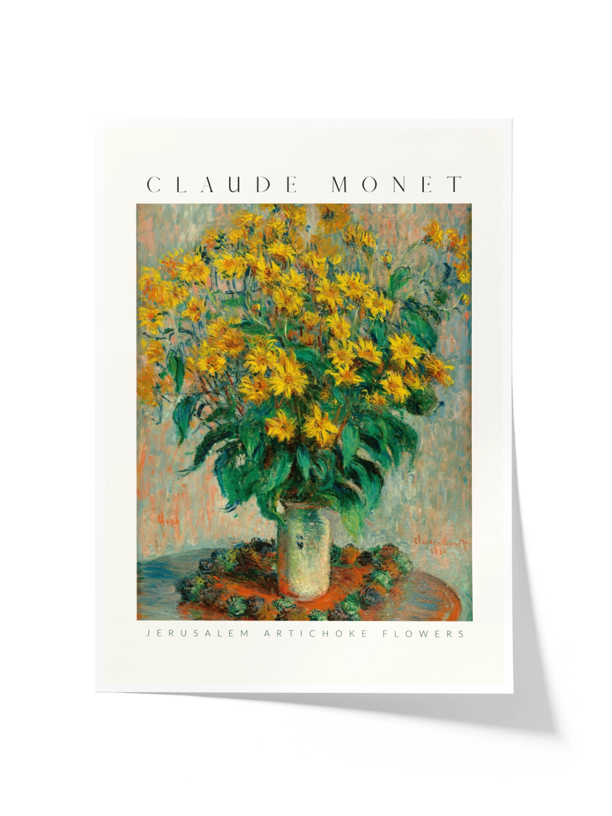 Jerusalem Artichoke Flowers