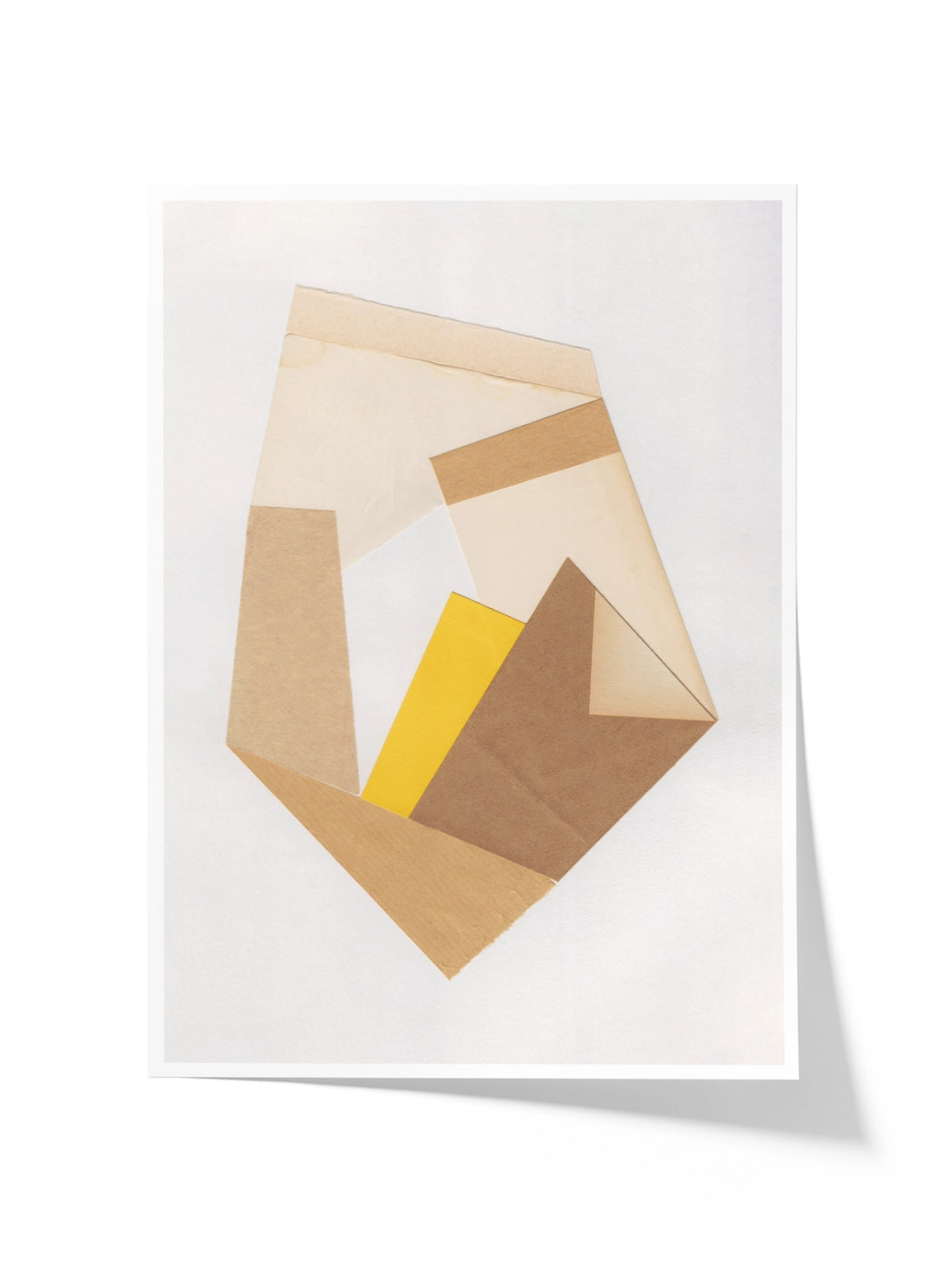 Shape