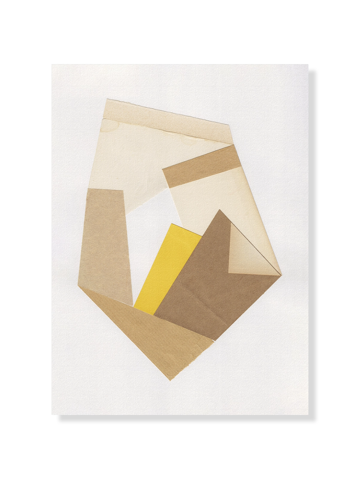 Shape