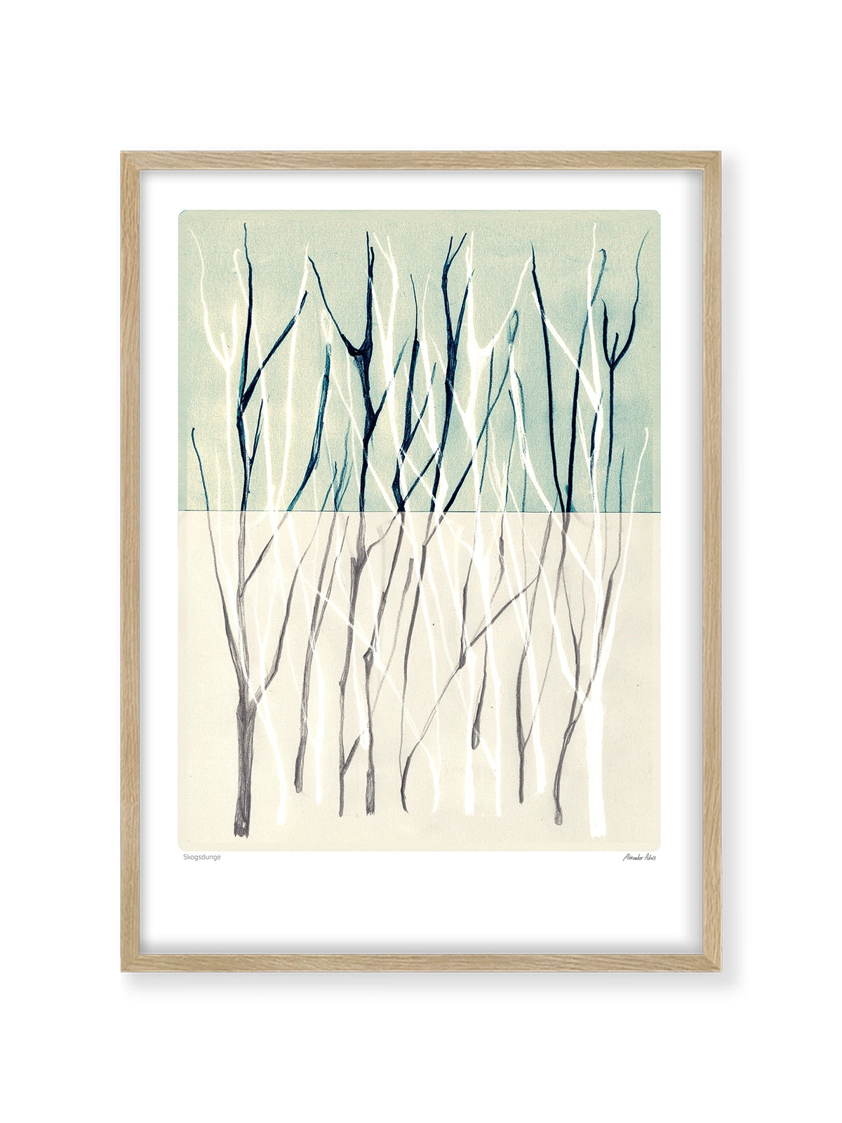 Forest Patch