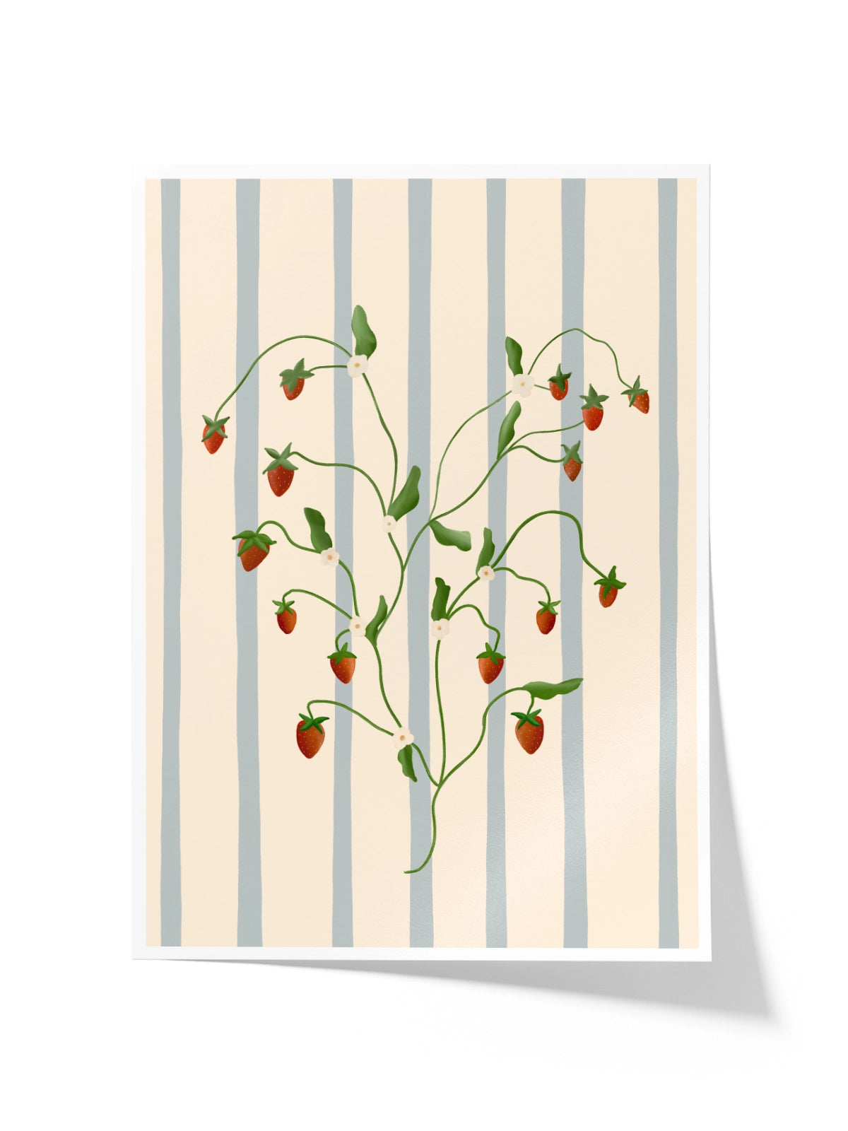 Strawberry Vine