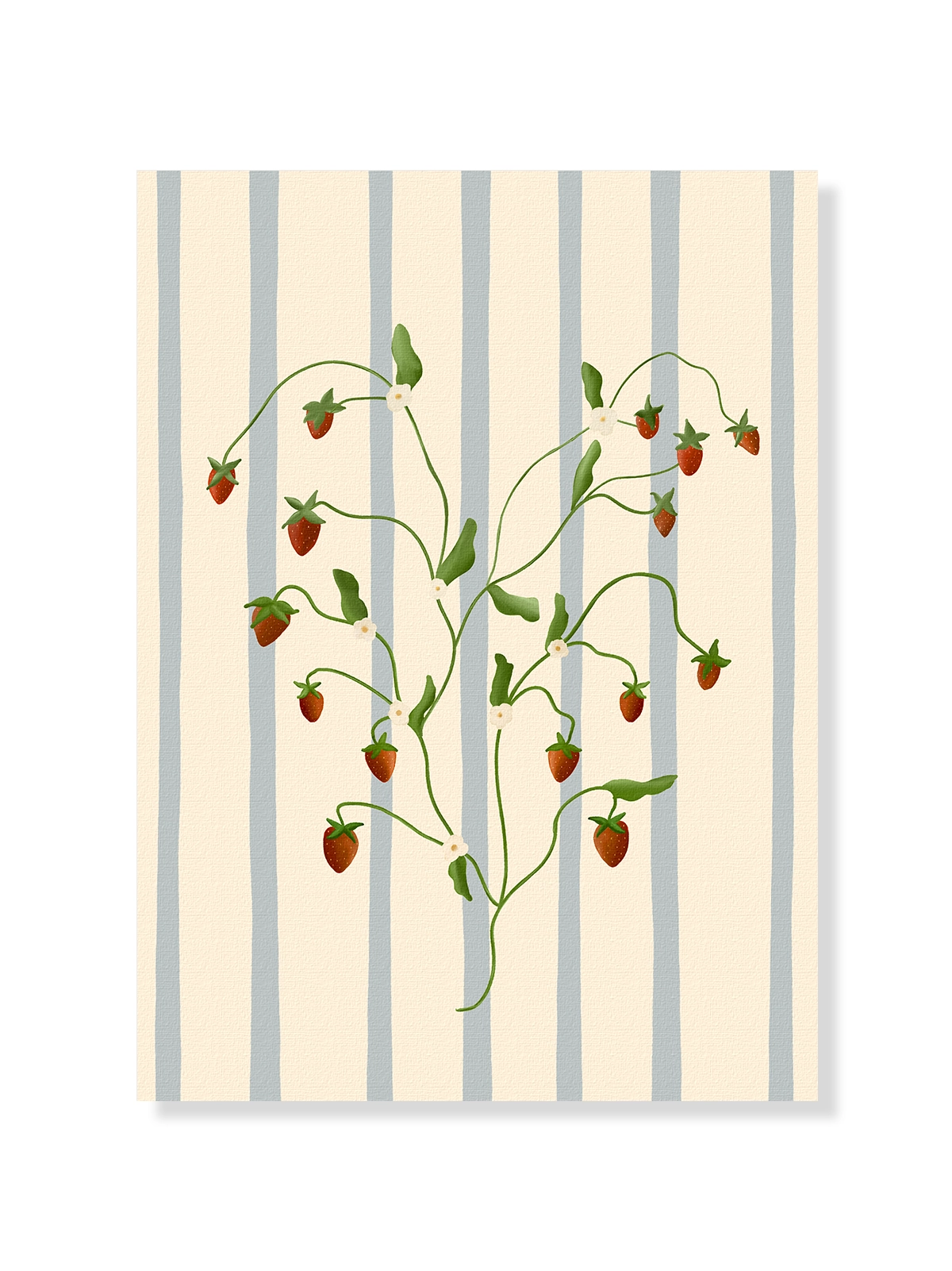 Strawberry Vine
