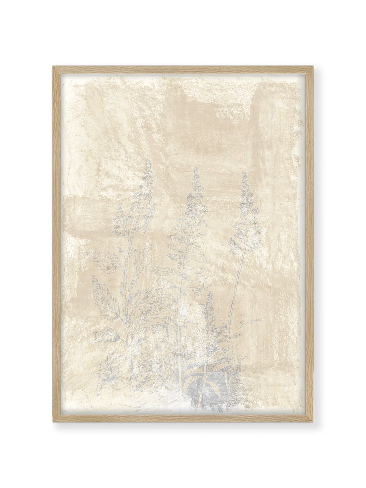 Woodsia II