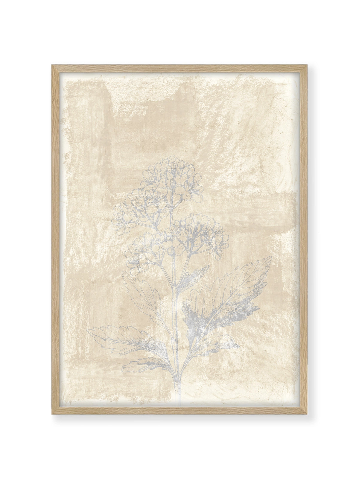 Woodsia III