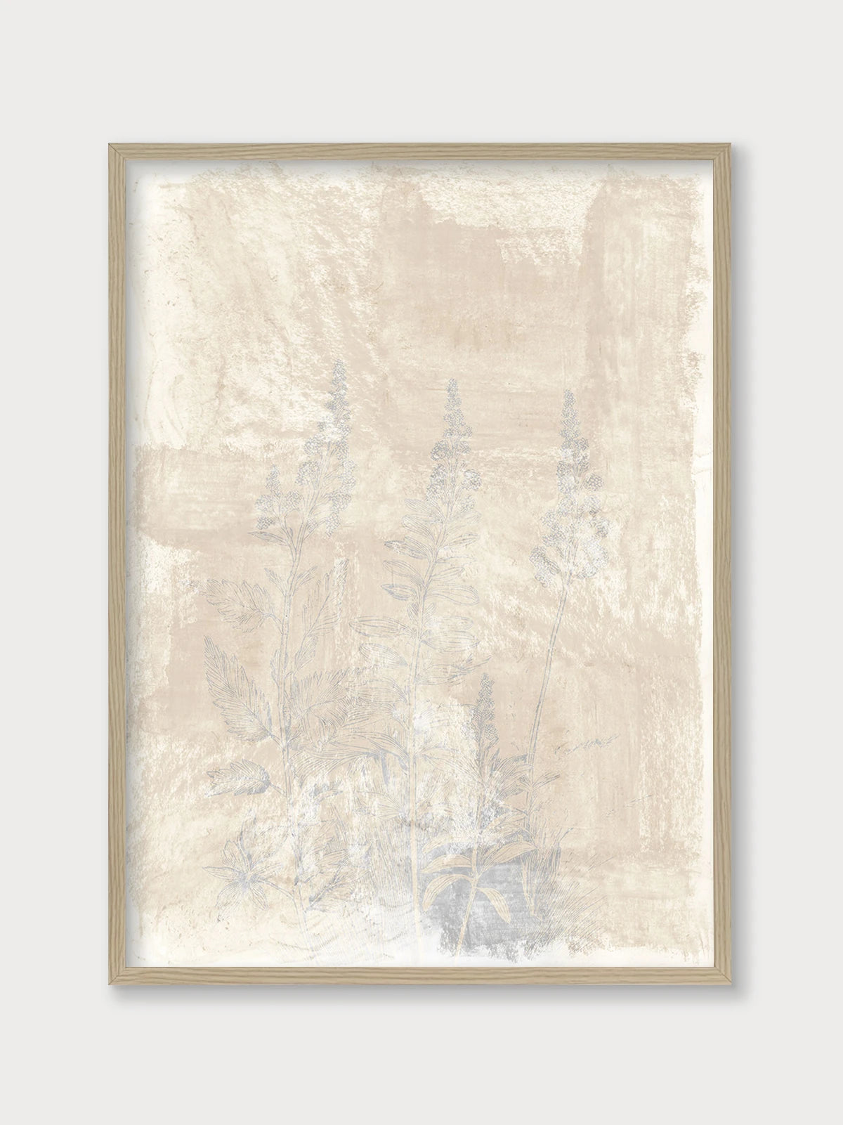 Woodsia II