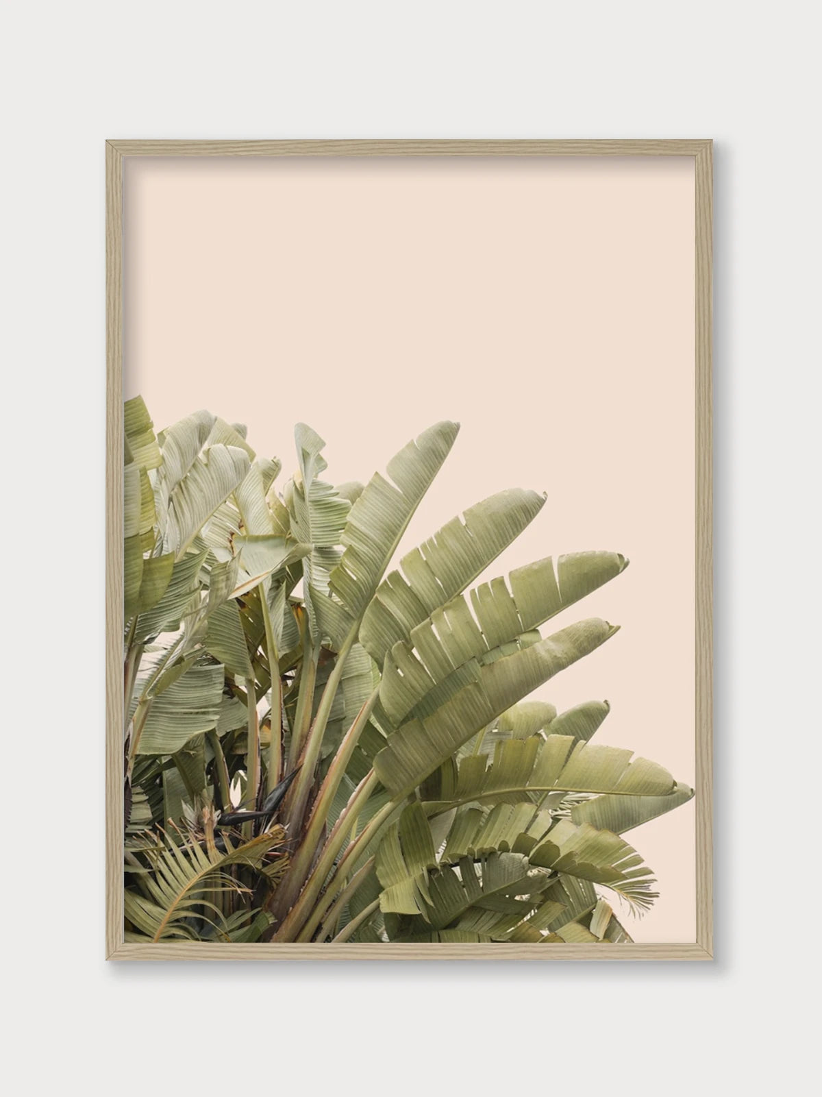 Tropical Leaves - Nomadart