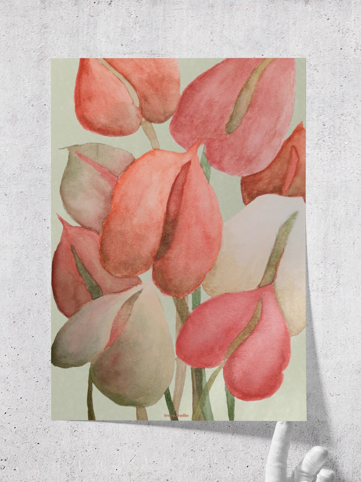 Anthurium - Una Lámina de Terra Studio - Decora tu casa en Nomadart