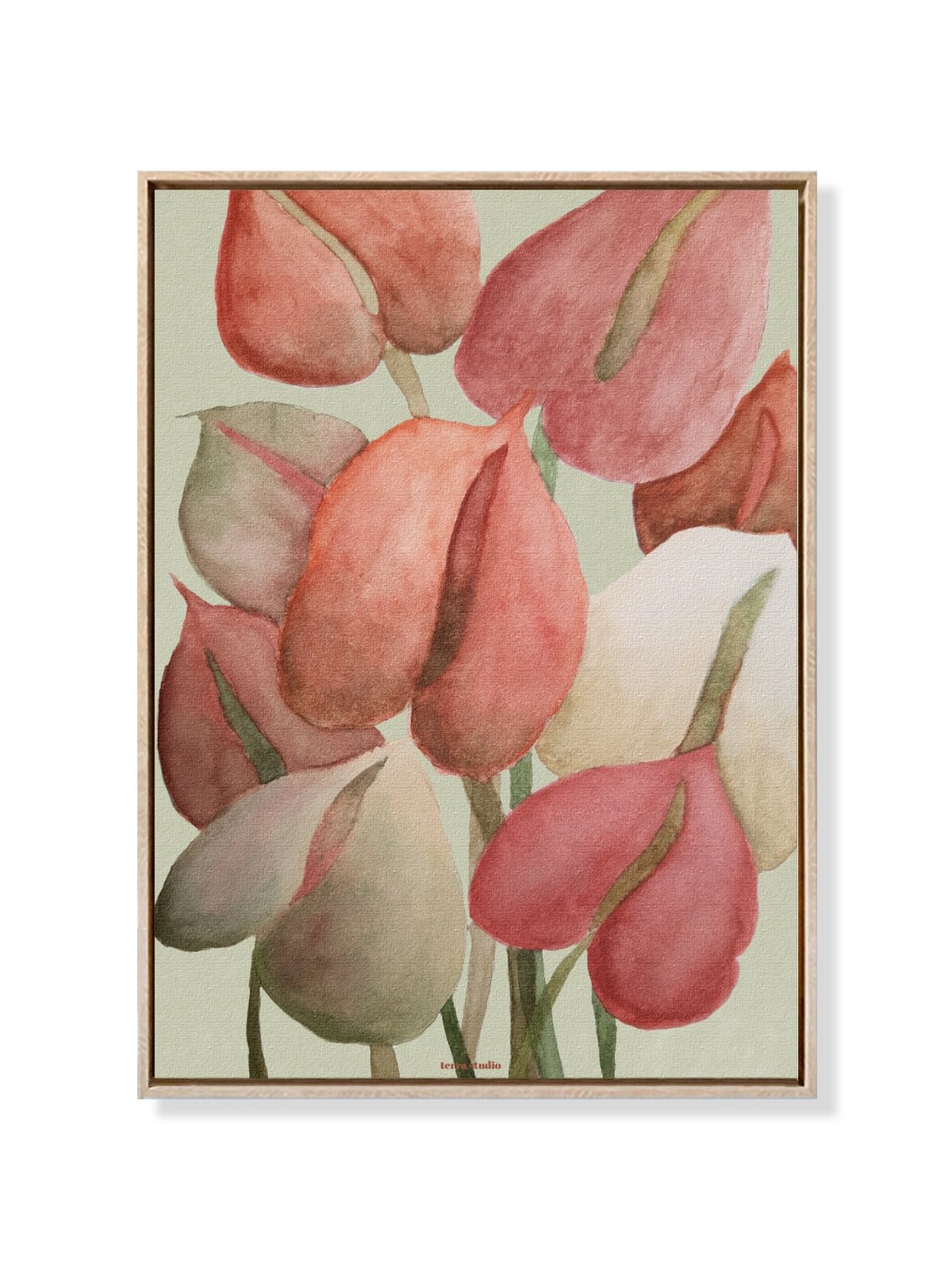 Anthurium - Una Lámina de Terra Studio - Decora tu casa en Nomadart