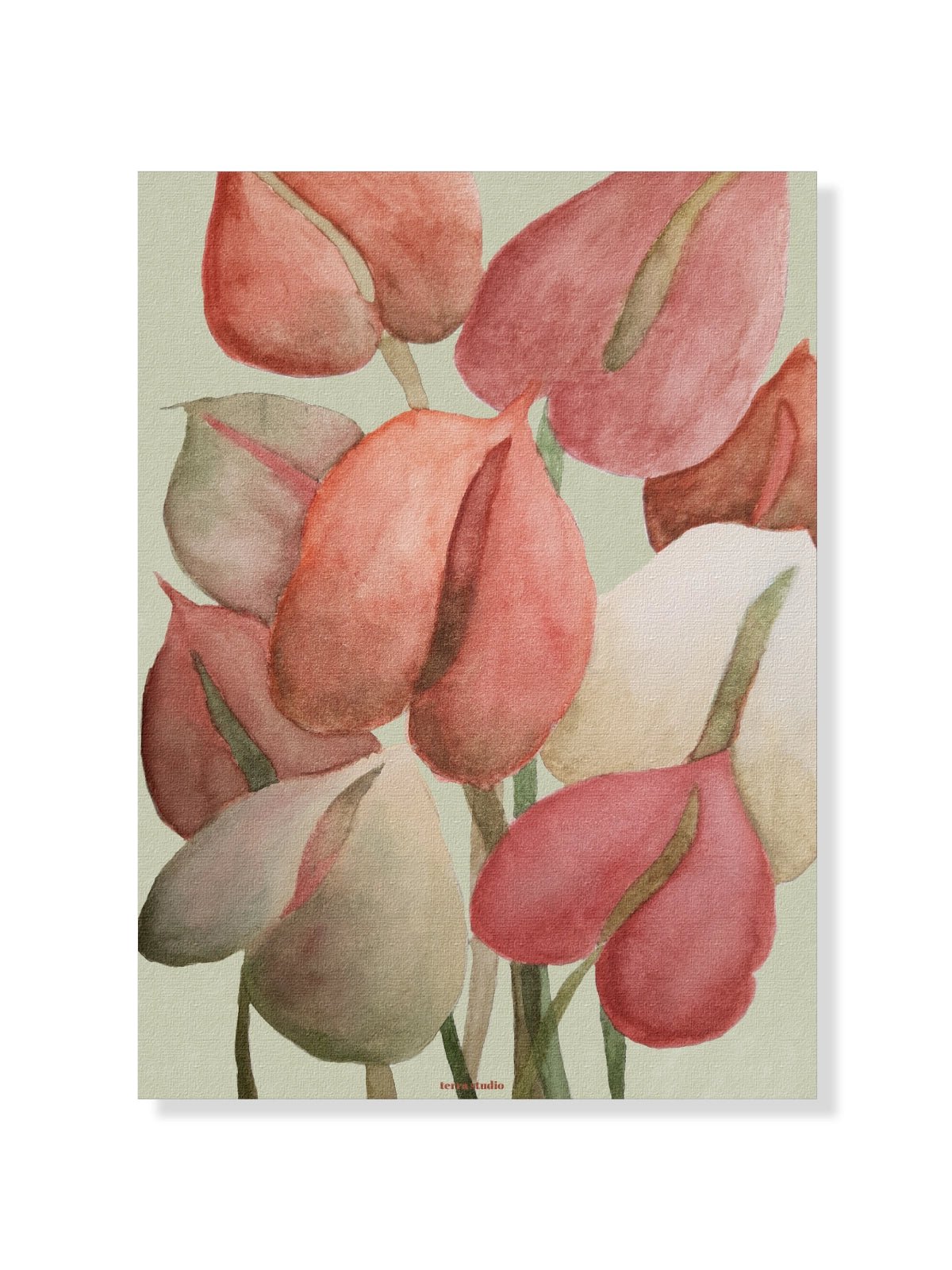 Anthurium - Una Lámina de Terra Studio - Decora tu casa en Nomadart