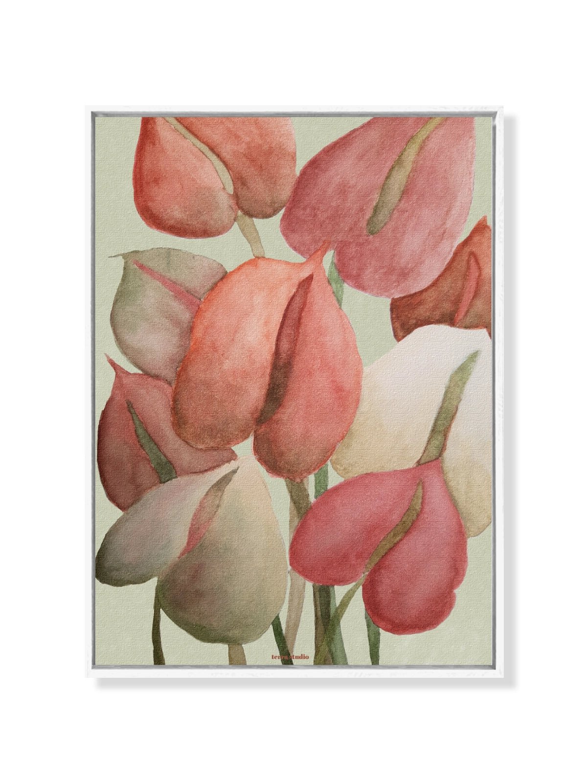 Anthurium - Una Lámina de Terra Studio - Decora tu casa en Nomadart