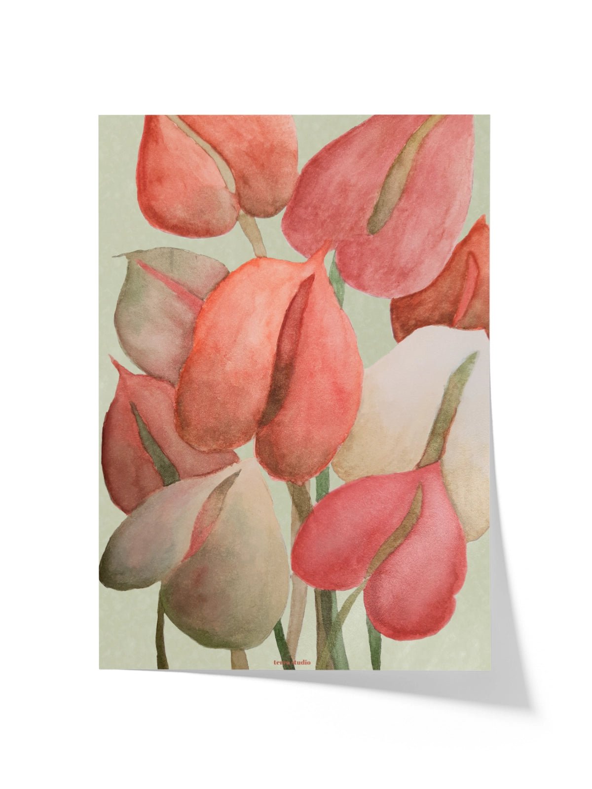 Anthurium - Una Lámina de Terra Studio - Decora tu casa en Nomadart