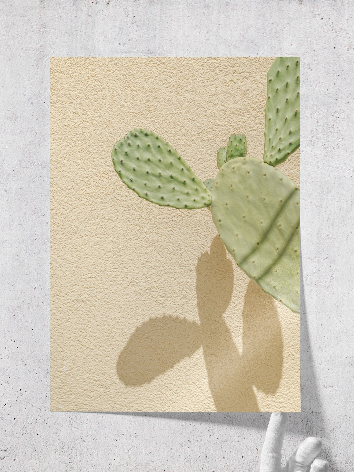 Cacti Shadowplay - Lámina de Henrike Schenk - Decora tu casa en Nomadart