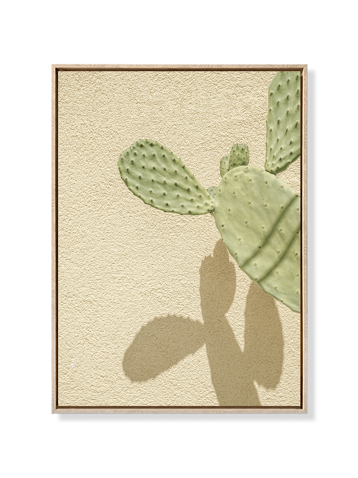 Cacti Shadowplay - Lámina de Henrike Schenk - Decora tu casa en Nomadart