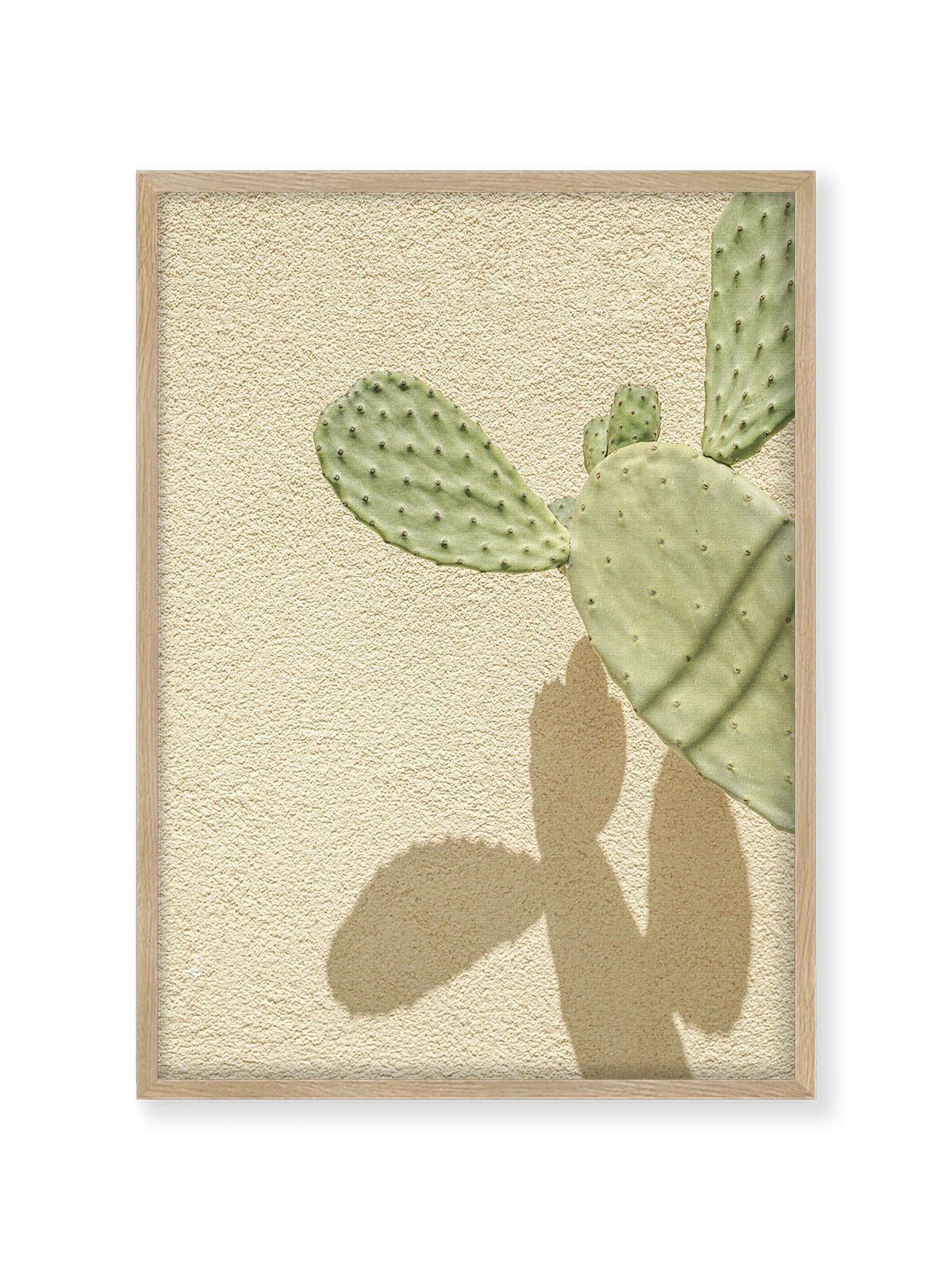 Cacti Shadowplay - Lámina de Henrike Schenk - Decora tu casa en Nomadart