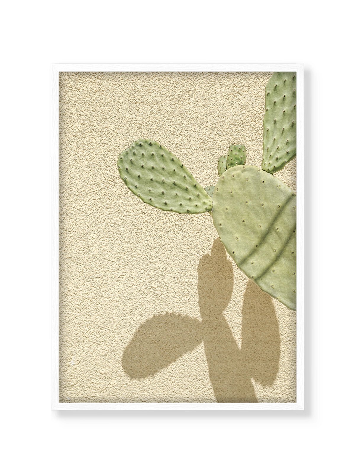 Cacti Shadowplay - Lámina de Henrike Schenk - Decora tu casa en Nomadart