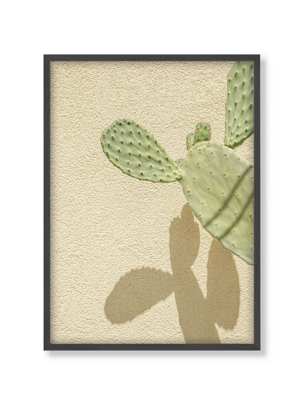 Cacti Shadowplay - Lámina de Henrike Schenk - Decora tu casa en Nomadart