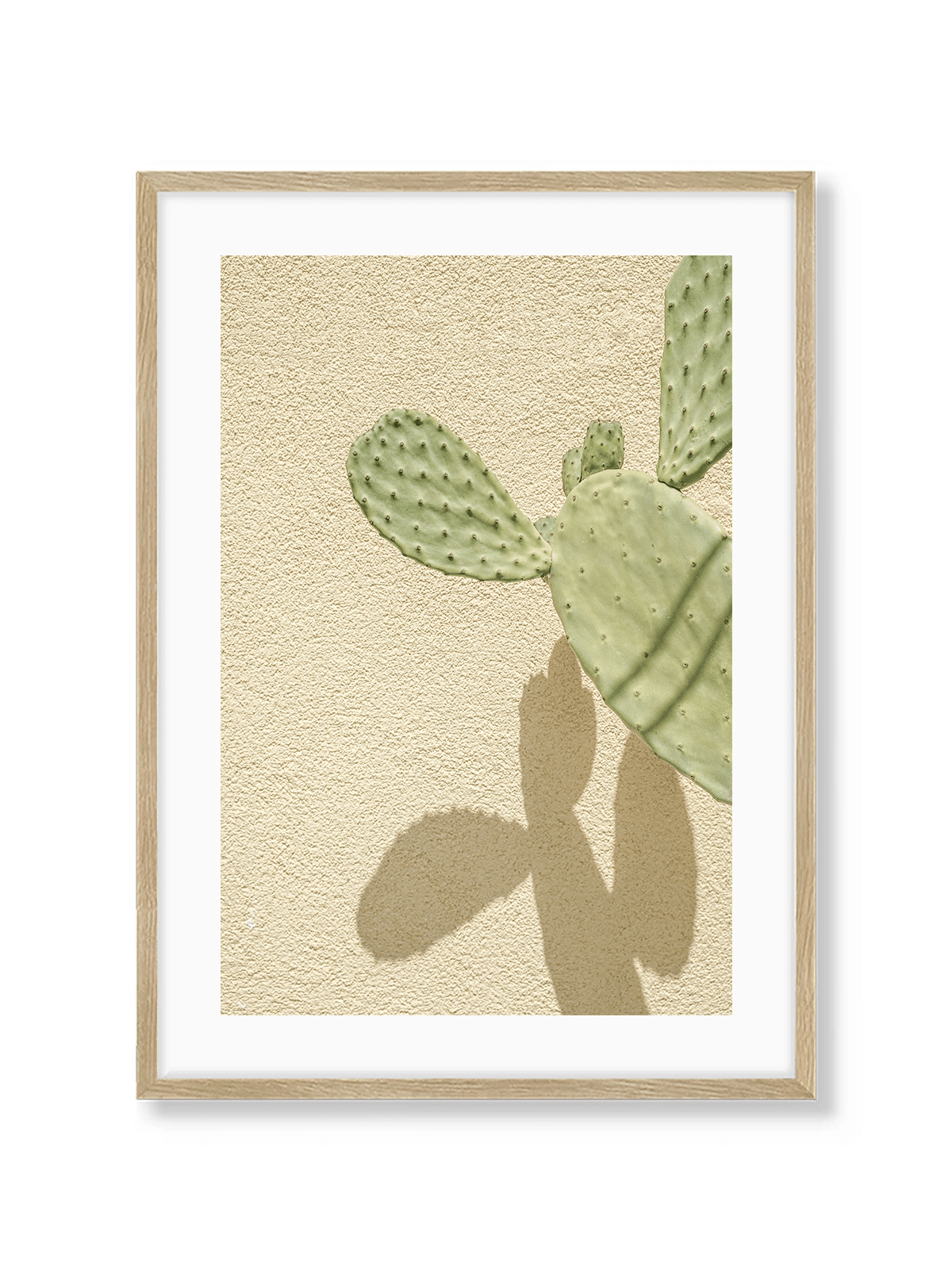 Cacti Shadowplay - Lámina de Henrike Schenk - Decora tu casa en Nomadart