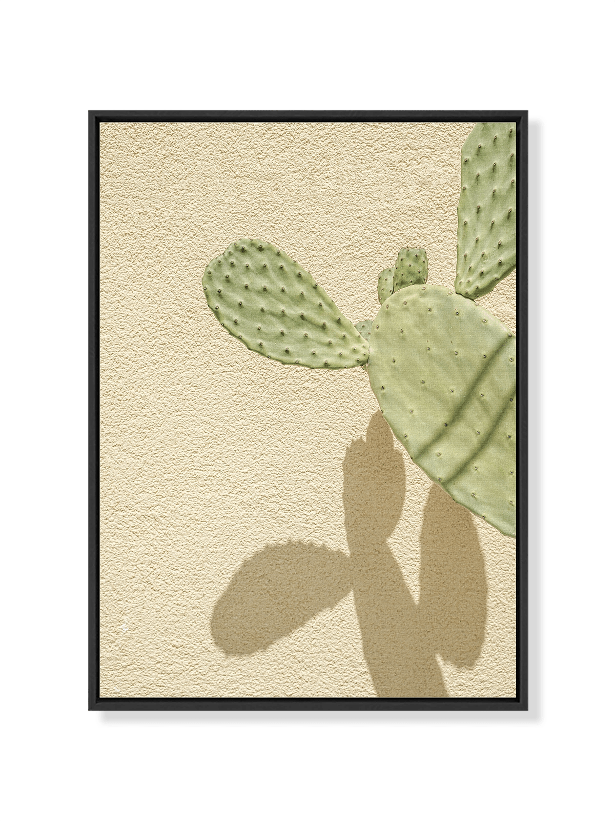 Cacti Shadowplay - Lámina de Henrike Schenk - Decora tu casa en Nomadart