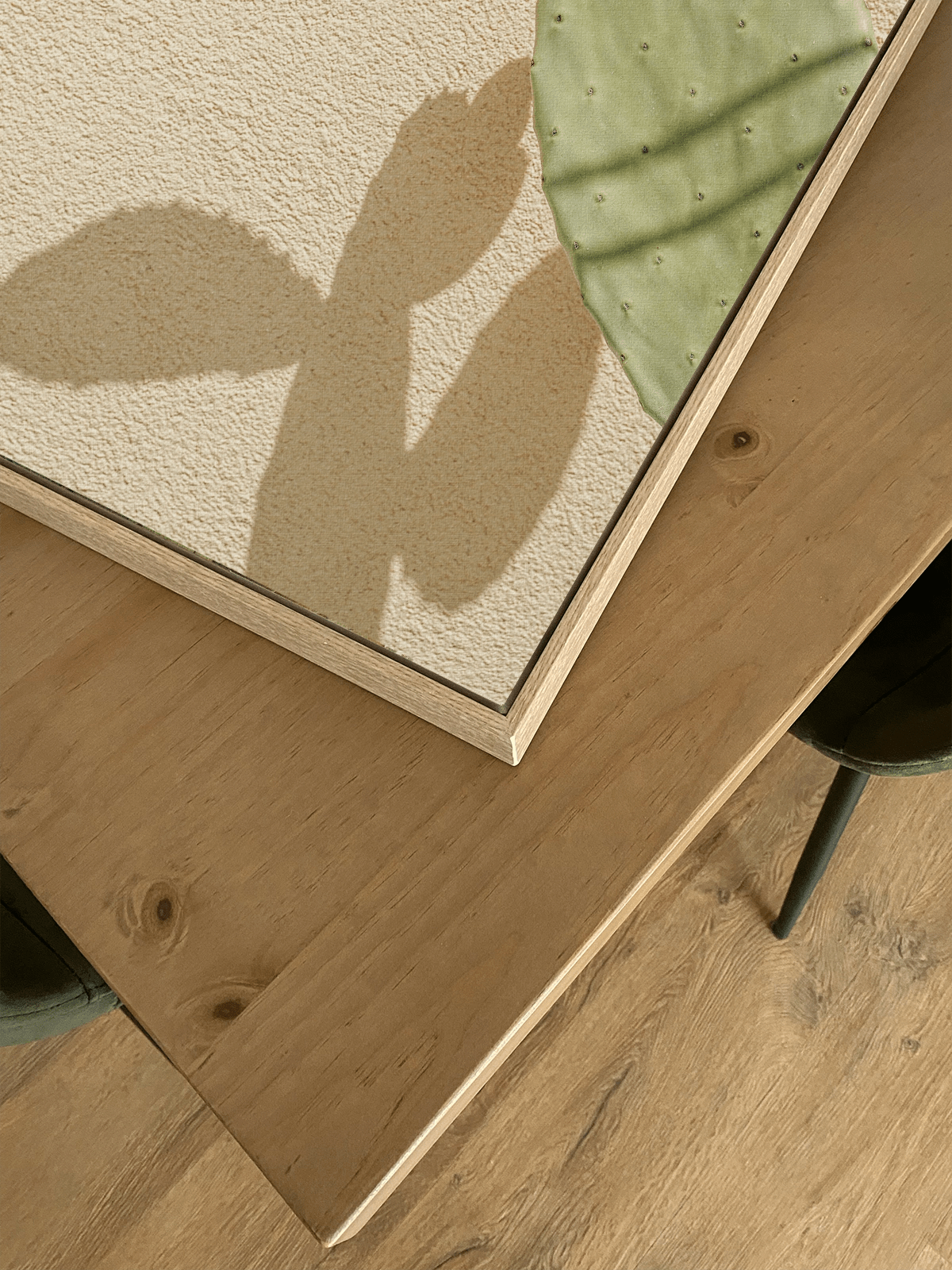 Cacti Shadowplay - Lámina de Henrike Schenk - Decora tu casa en Nomadart