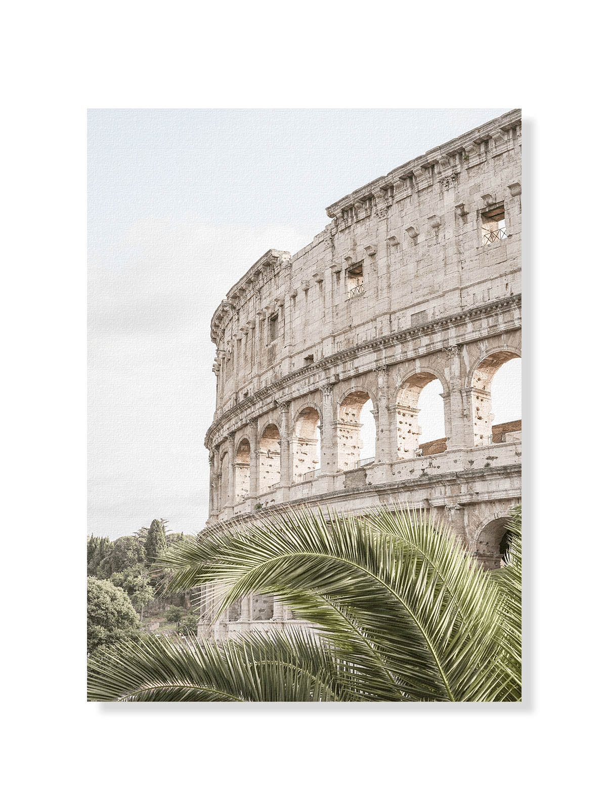 Colloseum - Lámina de Henrike Schenk - Decora tu casa en Nomadart