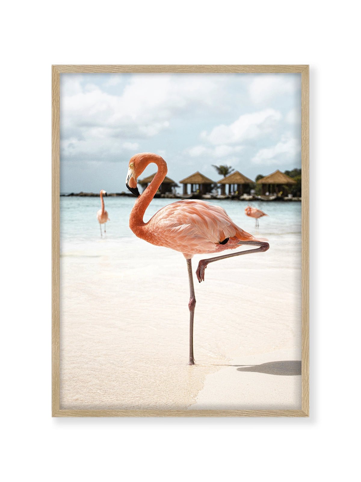 Pink Flamingo - Lámina de Henrike Schenk - Decora tu casa en Nomadart