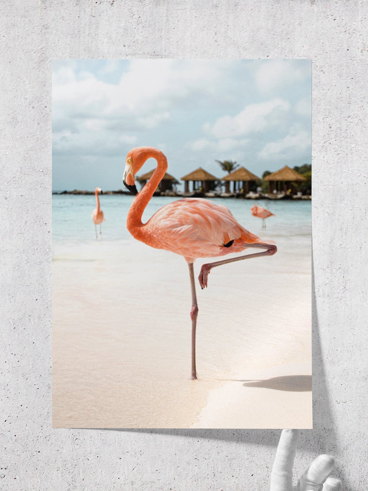 Pink Flamingo - Lámina de Henrike Schenk - Decora tu casa en Nomadart