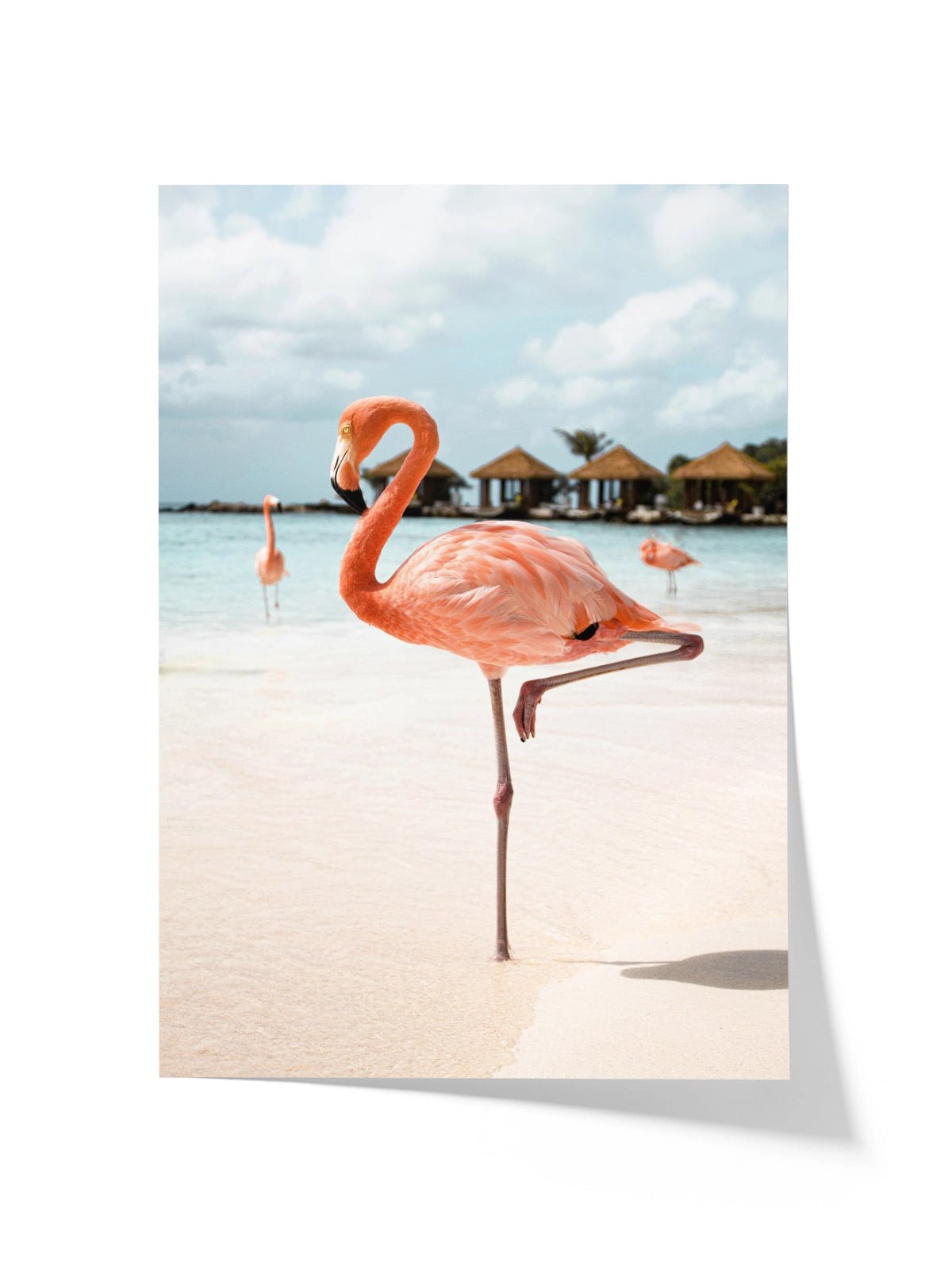 Pink Flamingo - Lámina de Henrike Schenk - Decora tu casa en Nomadart