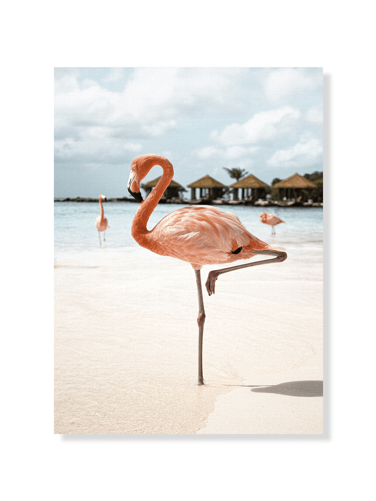 Pink Flamingo - Lámina de Henrike Schenk - Decora tu casa en Nomadart