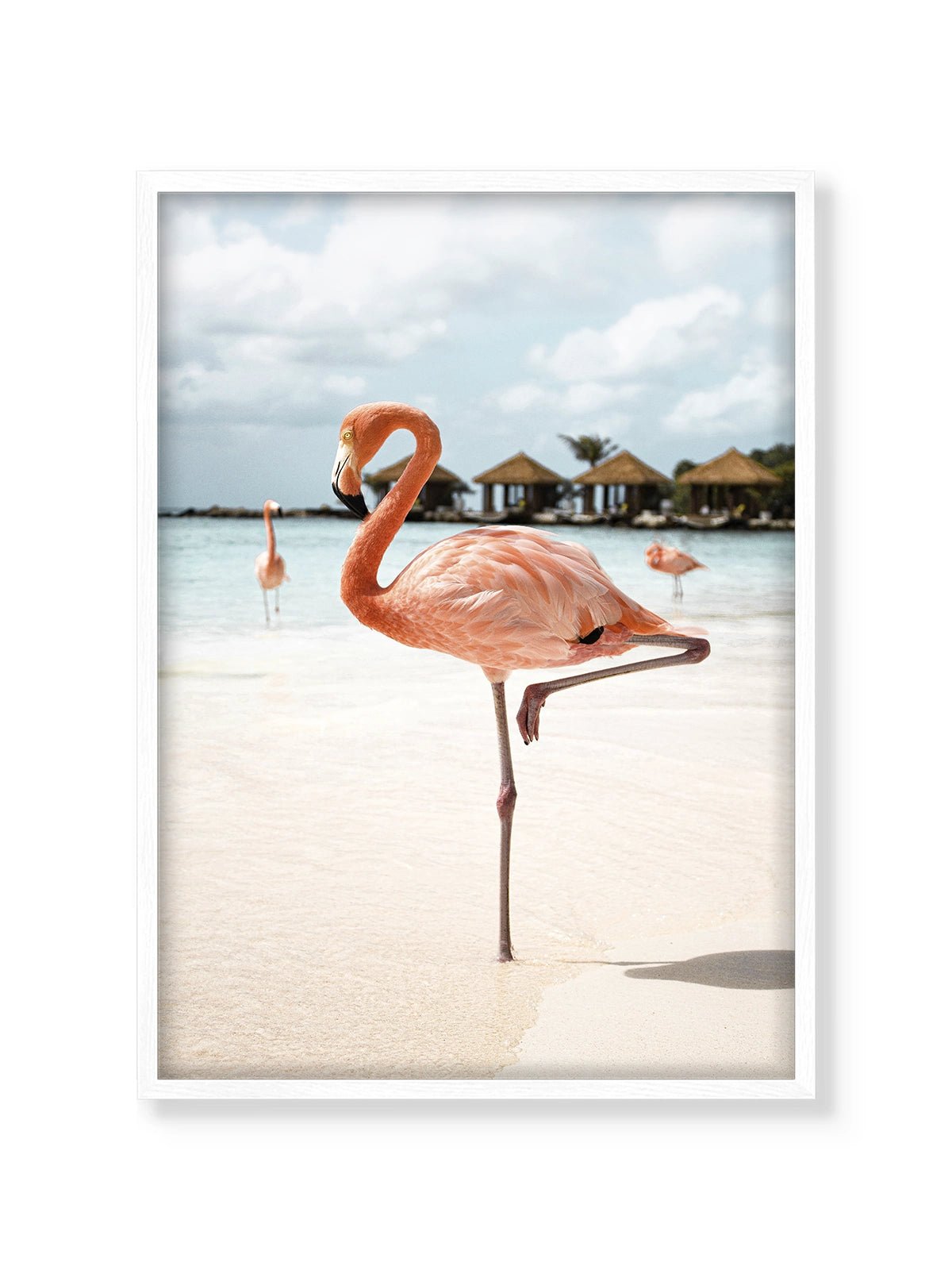 Pink Flamingo - Lámina de Henrike Schenk - Decora tu casa en Nomadart