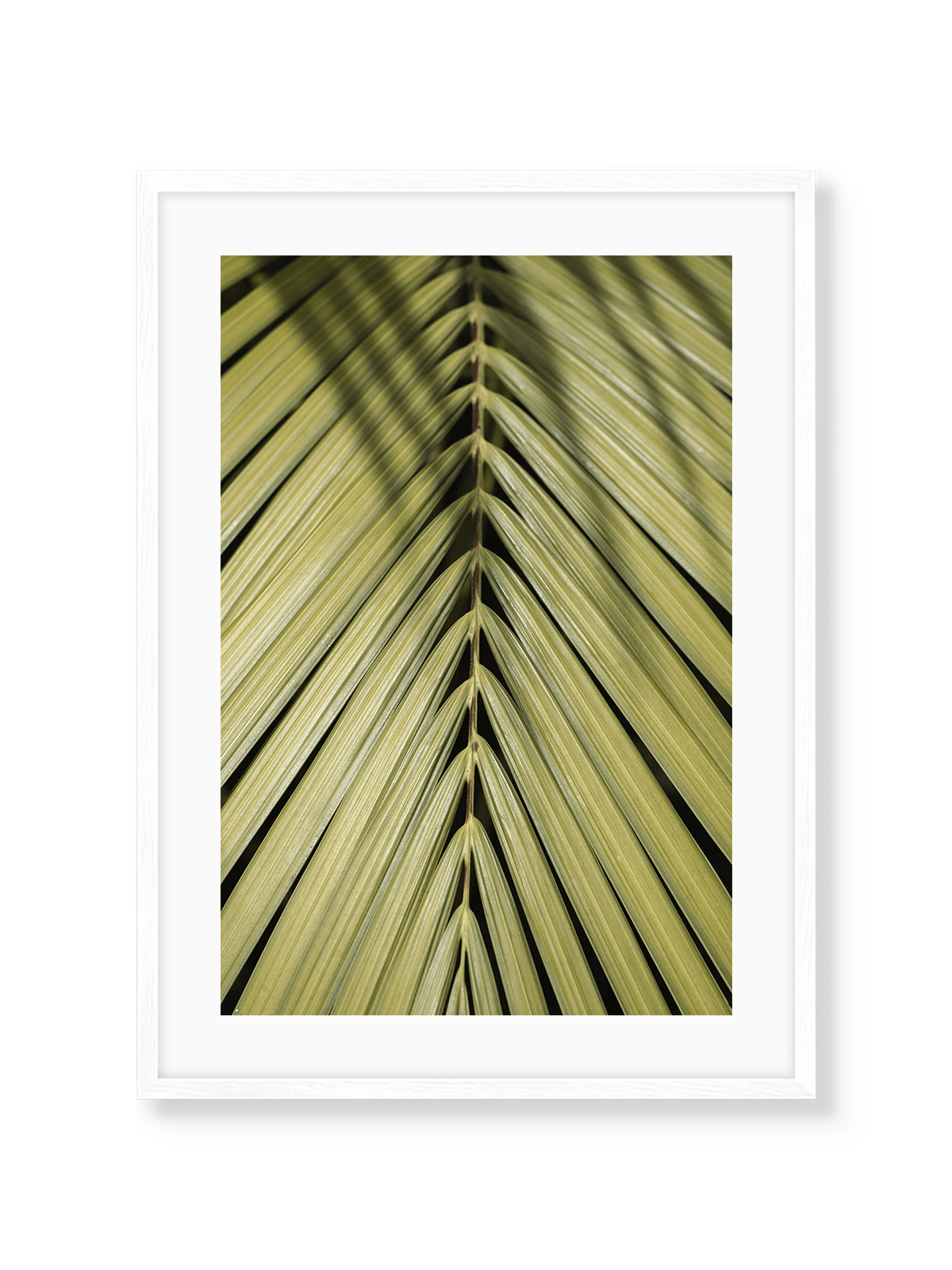 Tropical Green - Lámina de Henrike Schenk - Decora tu casa en Nomadart