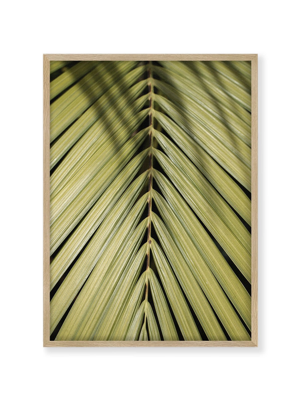 Tropical Green - Lámina de Henrike Schenk - Decora tu casa en Nomadart