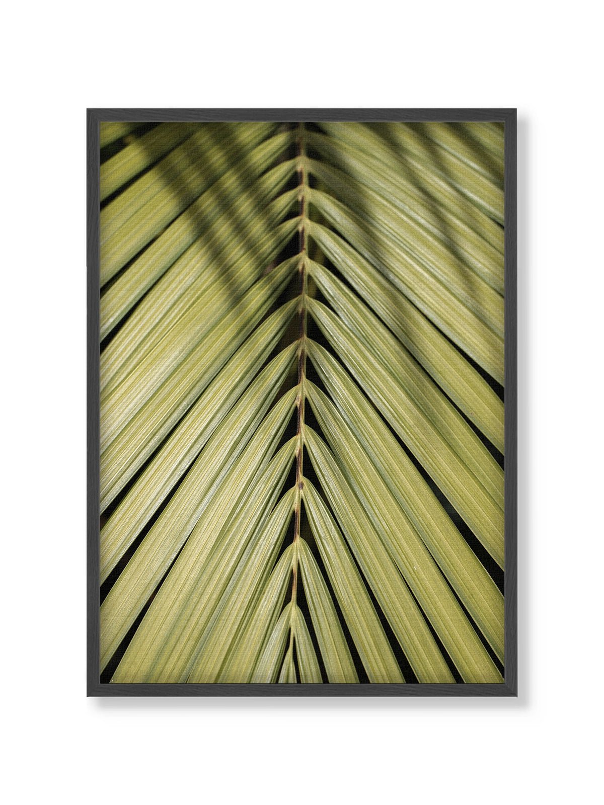 Tropical Green - Lámina de Henrike Schenk - Decora tu casa en Nomadart