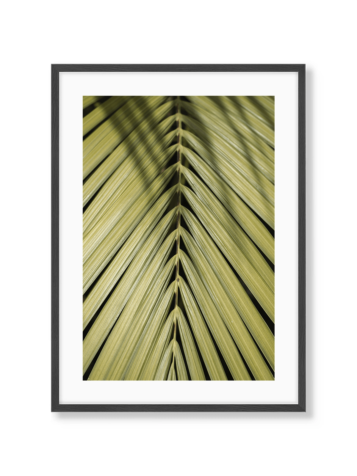 Tropical Green - Lámina de Henrike Schenk - Decora tu casa en Nomadart